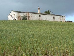 Via-Algarviana